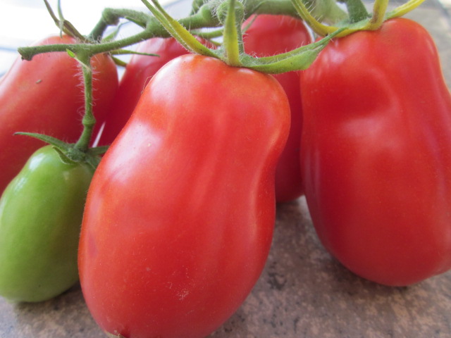 How to can tomatoes How to can tomatoes