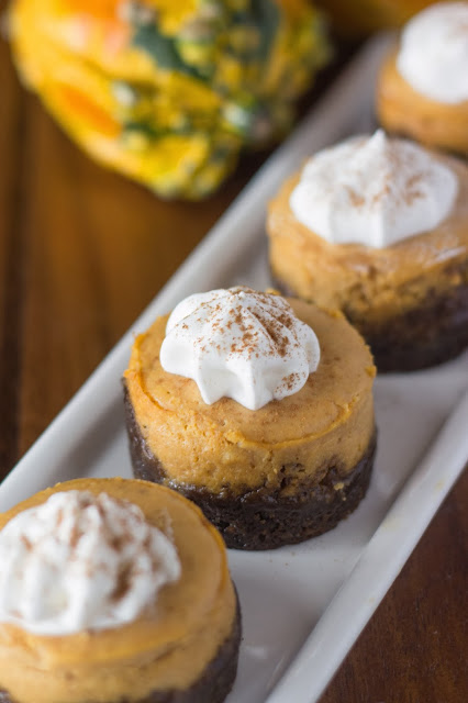 cheesecake Pumpkin Cheesecake with Gingersnap Crust | Cooking on the Front Burner #pumpkincheesecake