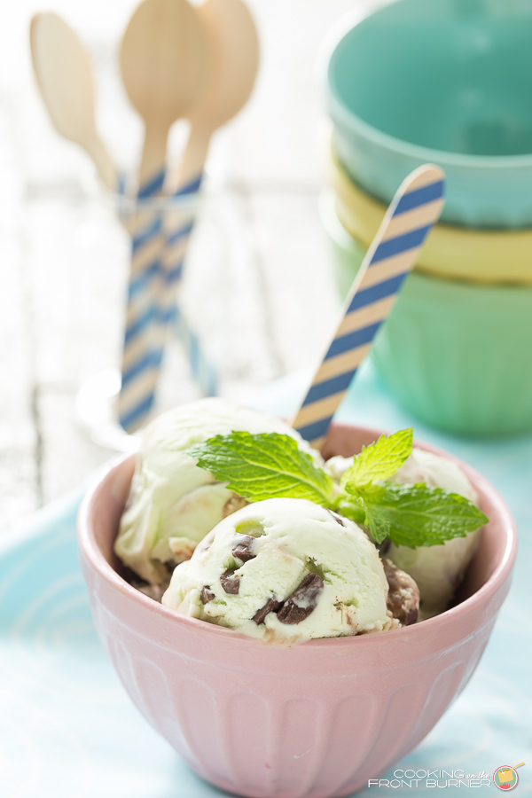 Mint Chocolate Chip Fudge Ice Cream | Cooking on the Front Burner