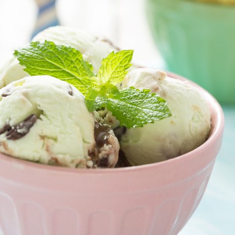 Mint Chip Chocolate Fudge Ice Cream