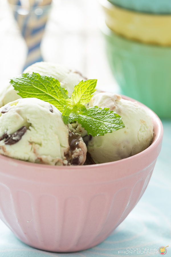 Mint Chocolate Chip Fudge Ice Cream | Cooking on the Front Burner