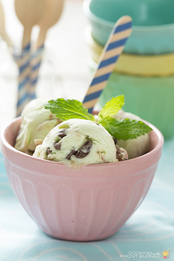 Mint Chocolate Chip Fudge Ice Cream | Cooking on the Front Burner