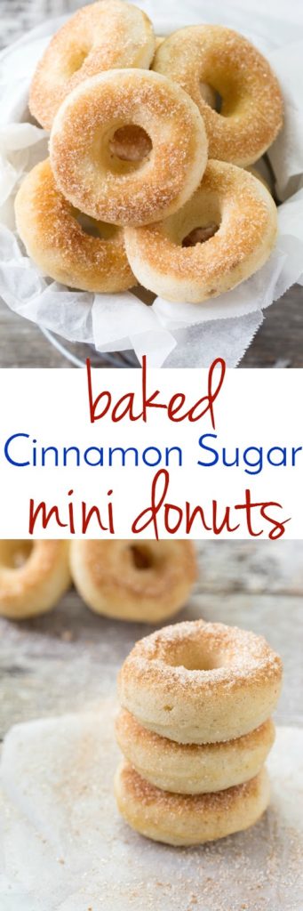 Fair Style - Cinnamon Sugar Mini Donuts