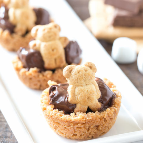 Mini S'Mores Bites