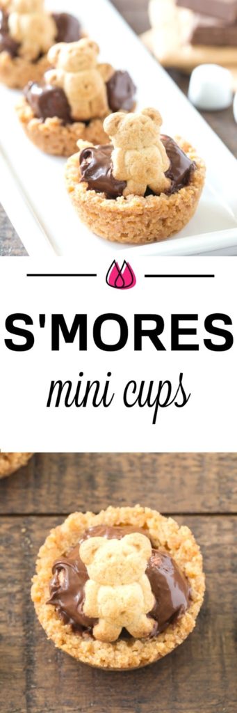 Mini S'mores Cup Bites perfect for all!