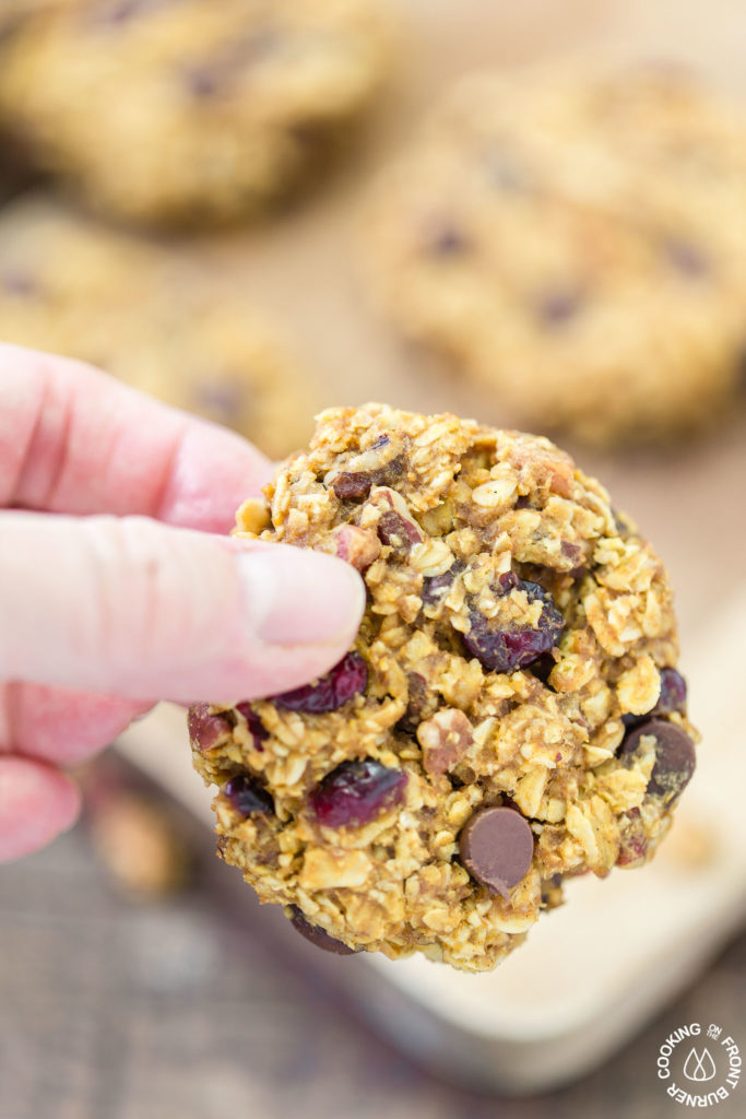 These grab-n-go Pumpkin Oat Breakfast Cookies are easy to make with good for you oats, pumpkin, a bit of chocolate, pecans and dried cranberries.  Make ahead for those times when you are in a hurry but want something healthy to fuel your day!