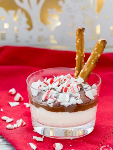 This holiday Chocolate Peppermint Dip is a great snack recipe to have on hand that everyone will love.  It has two kinds of chocolate, mint and salty pretzels for dippers that make a great combo!