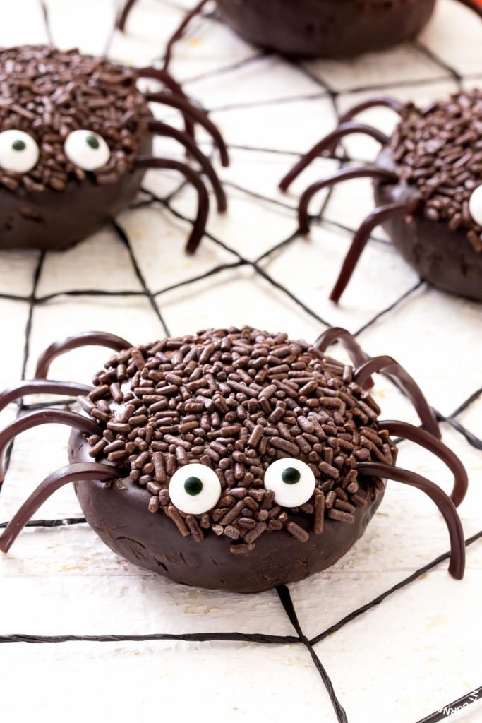 chocolate spiders on a web