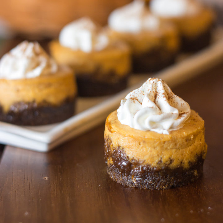 Mini Pumpkin Cheesecakes 