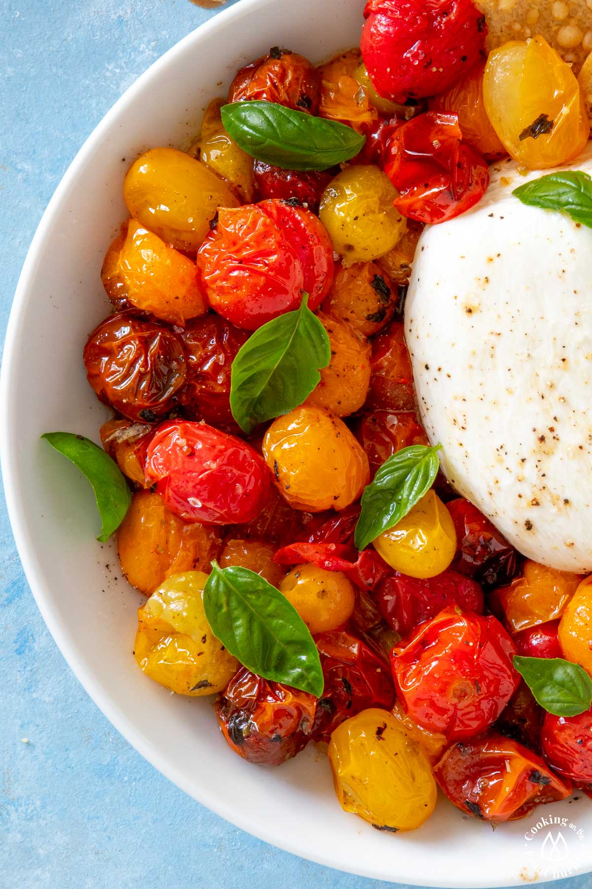 white bowl with roasted tomatoes and burrata cheese topped with fresh basil