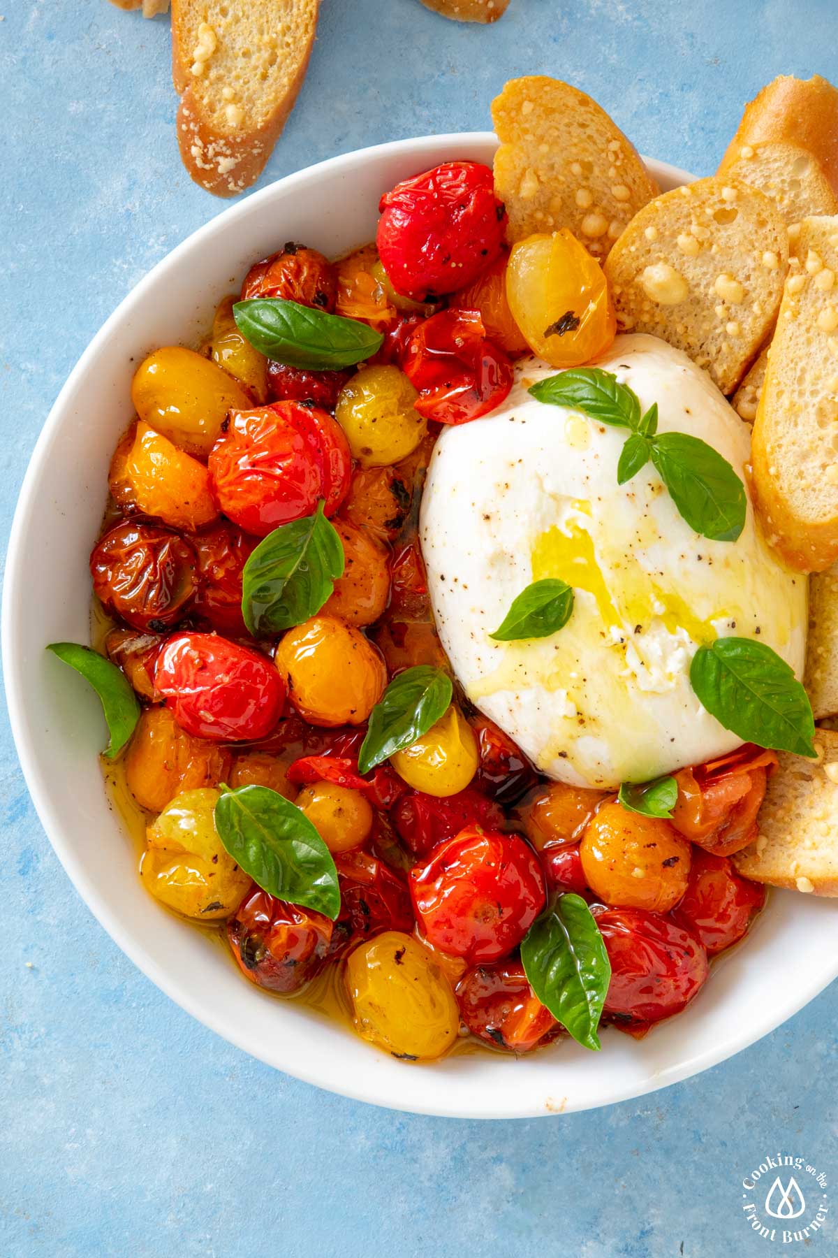 white bowl with roasted tomatoes topped with burrata cheese