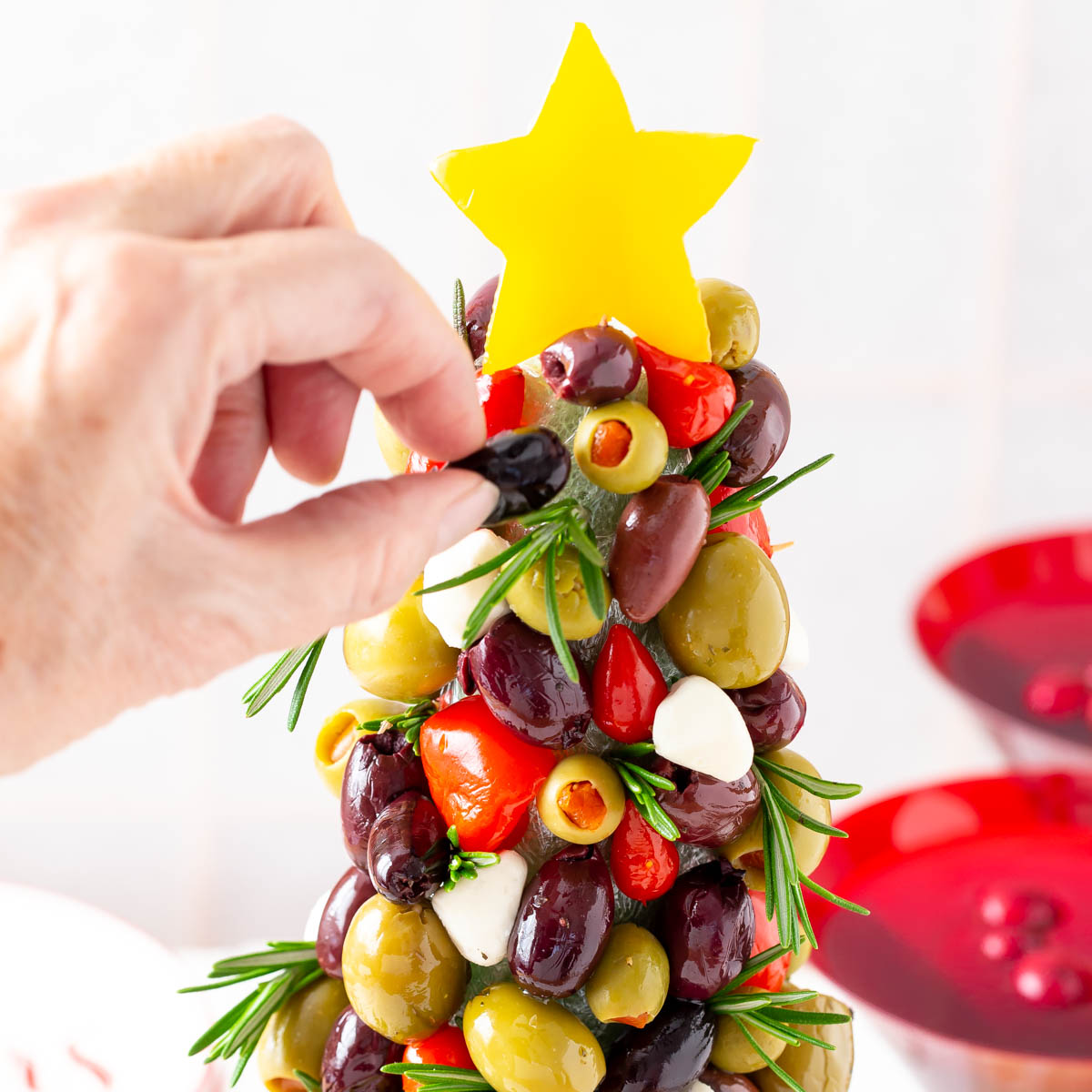 Top 10 Party Recipes For The Holiday Cooking On The Front Burner top-10-party-recipes-for-the-holiday-cooking-on-the-front-burner